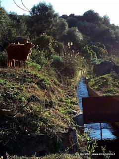 rgenti delle Favare-04-02-2018 22-49-55